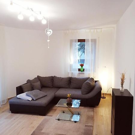 Ebenerdige Ferienwohnung Mit Grosser Terrasse In Der Naehe Des Waldes, Zum Wohlfuehlen Schoneck Exteriér fotografie