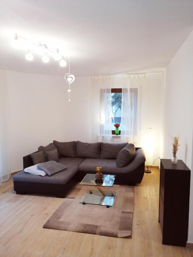 Ebenerdige Ferienwohnung Mit Grosser Terrasse In Der Naehe Des Waldes, Zum Wohlfuehlen Schoneck Exteriér fotografie